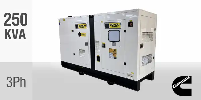 BPD250S3-C Industrial Generator