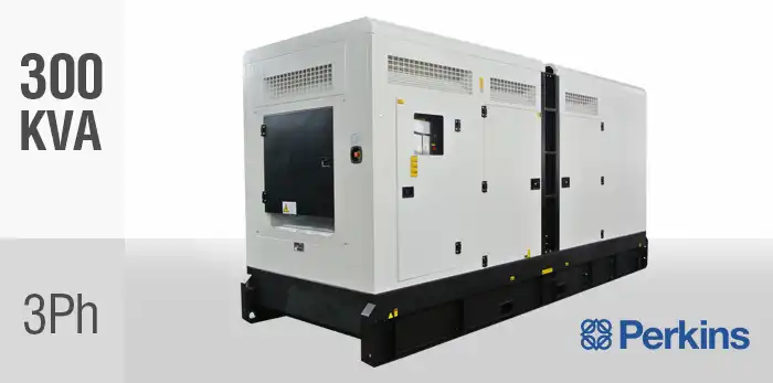 BPD300S3-P Industrial Generator