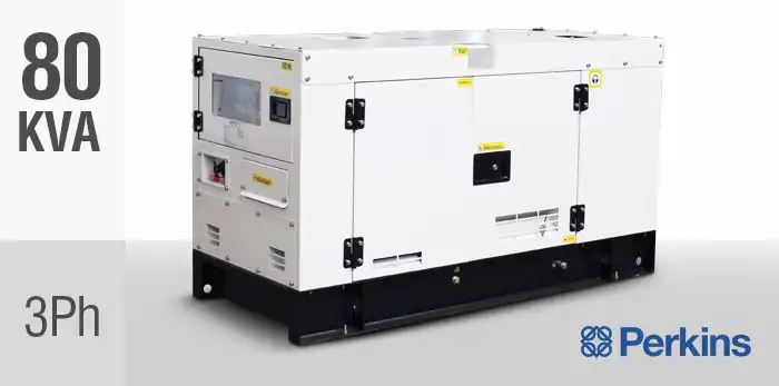 BPD80S3-P Industrial Generator